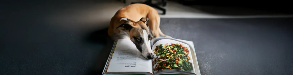 Brauchen Hunde Abwechslung beim Futter?