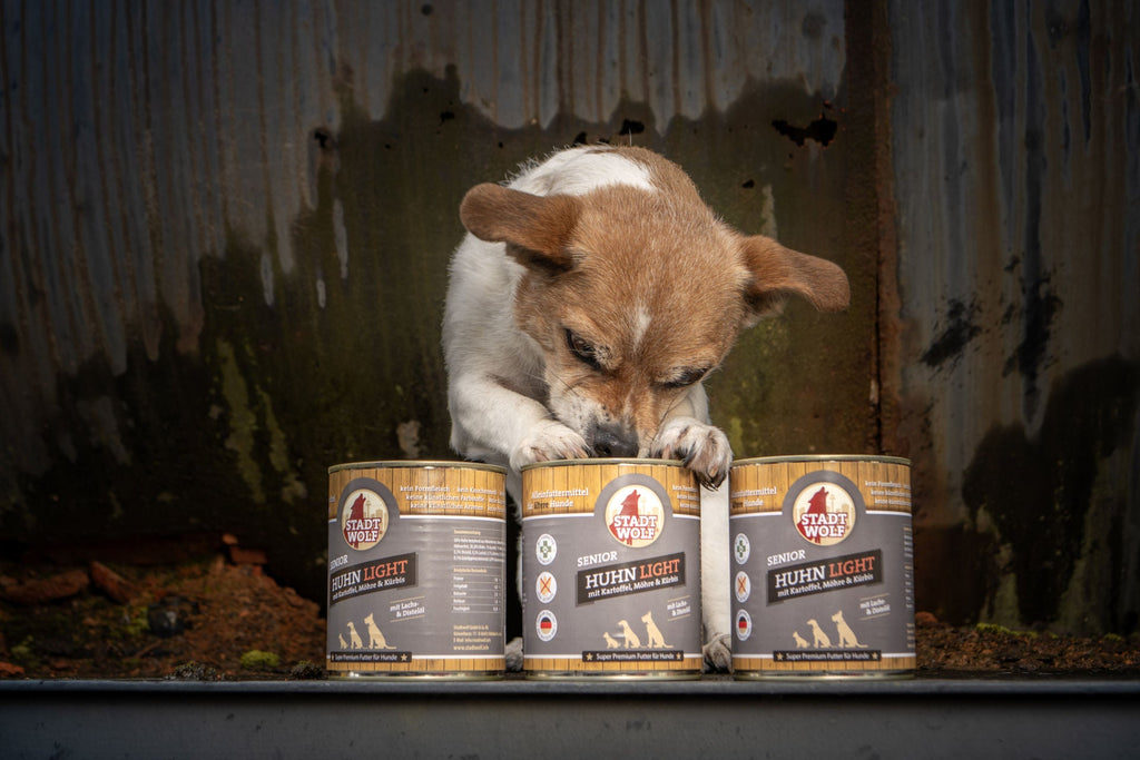 Probierpakete Hundefutter