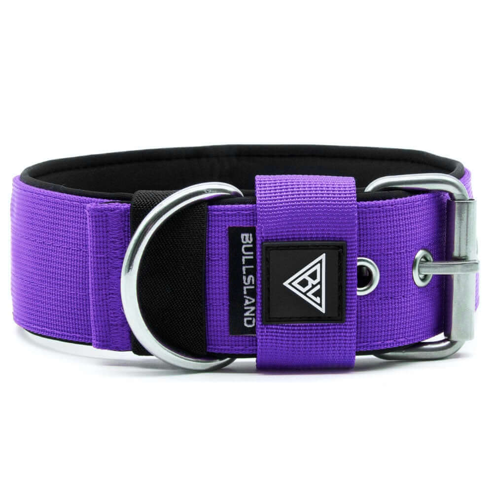 Galguita Amelie Martingale Hundehalsband – Größe M, Ananas-Muster, 4 Cm Breit