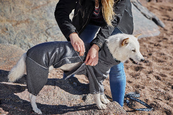 Hund trägt weicher Hurtta Midlayer Overall Blackberry am Strand, Outlet bei AmbraPet
