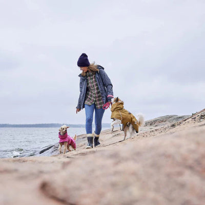 Hunde tragen Monsoon Coat Eco beim Spaziergang 