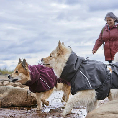 Hunde tragen Hurtta Mudventure Coat ECO am Strand, AmbraPet
