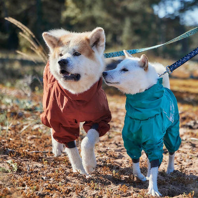 Hunde tragen wasserdichten Hurtta Mudventure Overall ECO - beim Spazieren, AmbraPet