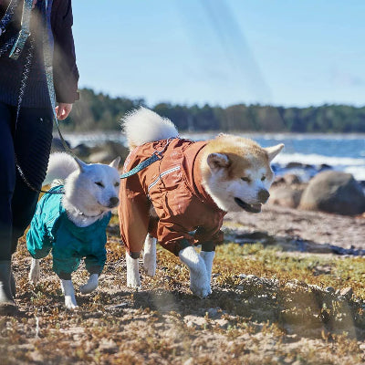 Hurtta Mudventure Overall ECO - Hunde beim Spazieren, AmbraPet