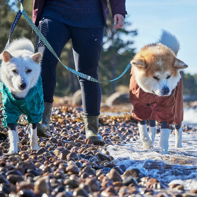 Hunde tragen wasserdichten Hurtta Mudventure Overall ECO am Ufer, AmbraPet