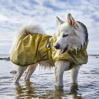 Hund trägt Hurtta Mudventure reflective Coat turmeric im Wasser, AmbraPet
